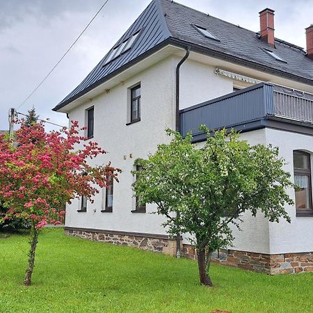 Grünbach Ferienwohnungen Reiterhof Lienemann מראה חיצוני תמונה